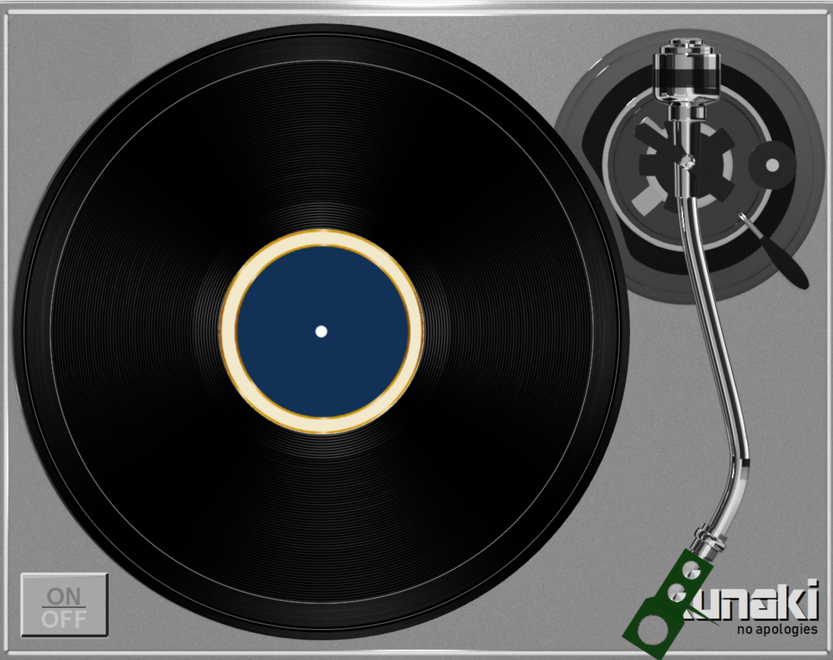 WE WILL BE HOME 7 INCH VINYL