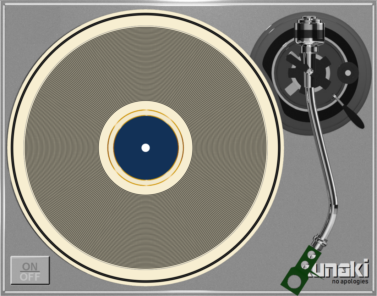 WE WILL BE HOME 7 INCH VINYL